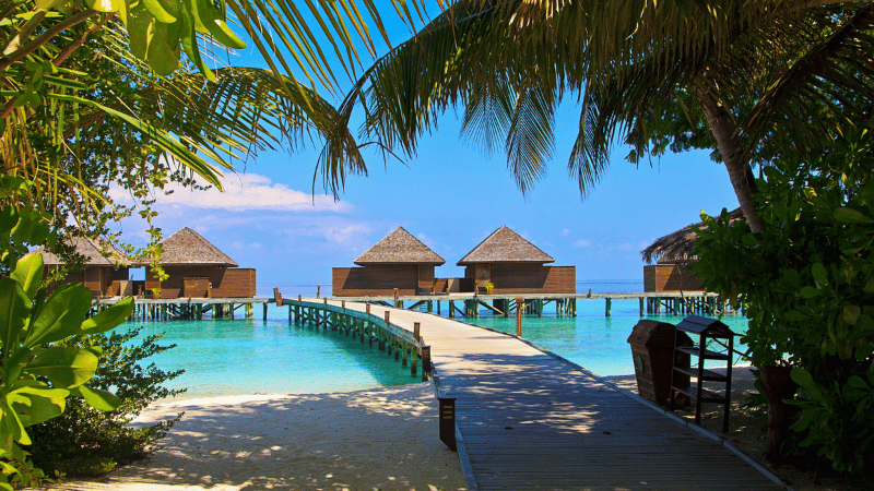 أفضل بكجات سفر المالديف 2024 خبير رحلتك القادمة