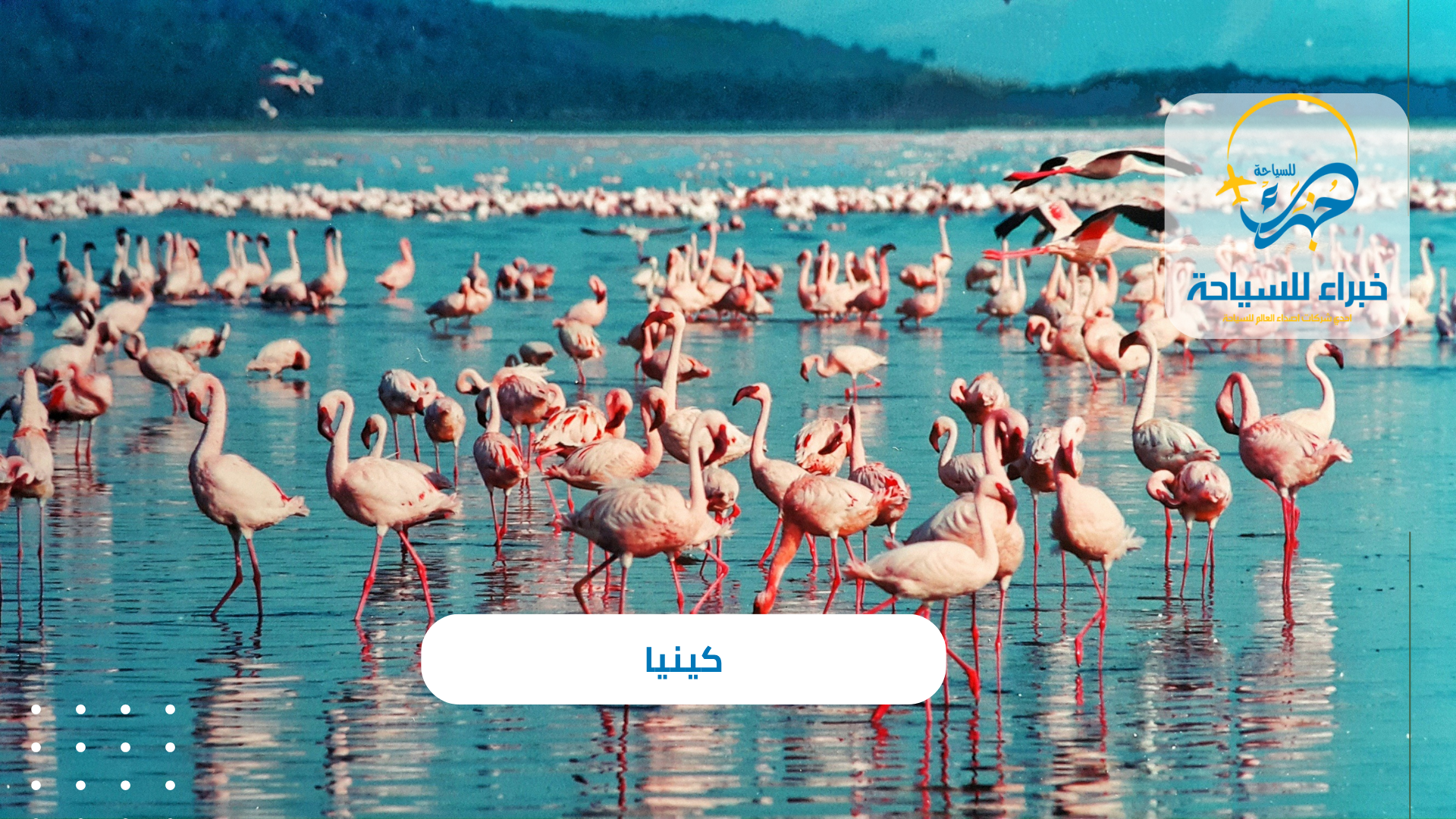 كينيا