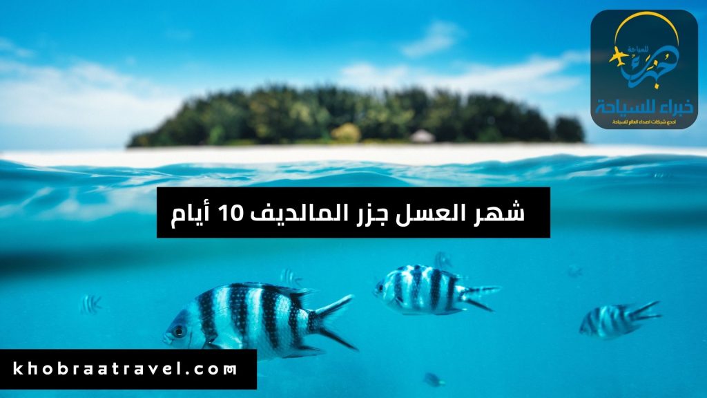 بكجات شهر العسل جزر المالديف 10 أيام