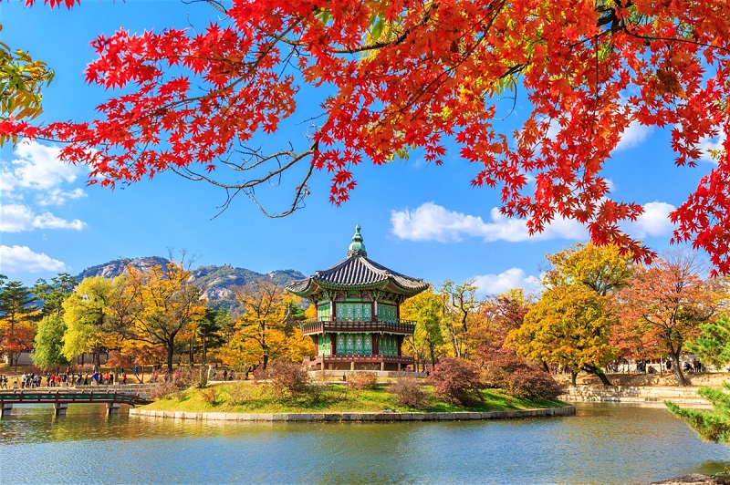 أفضل المدن والأماكن السياحية في كوريا