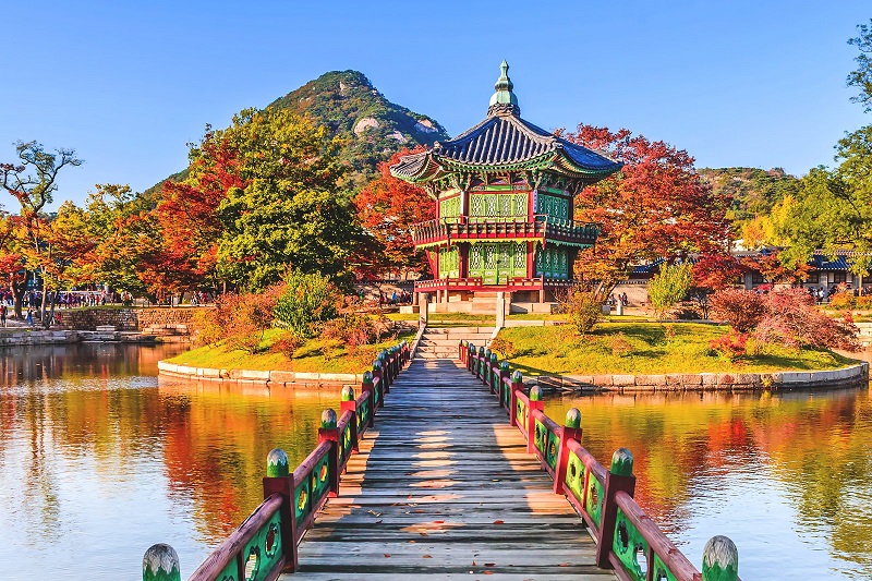 مكتب سياحي في كوريا