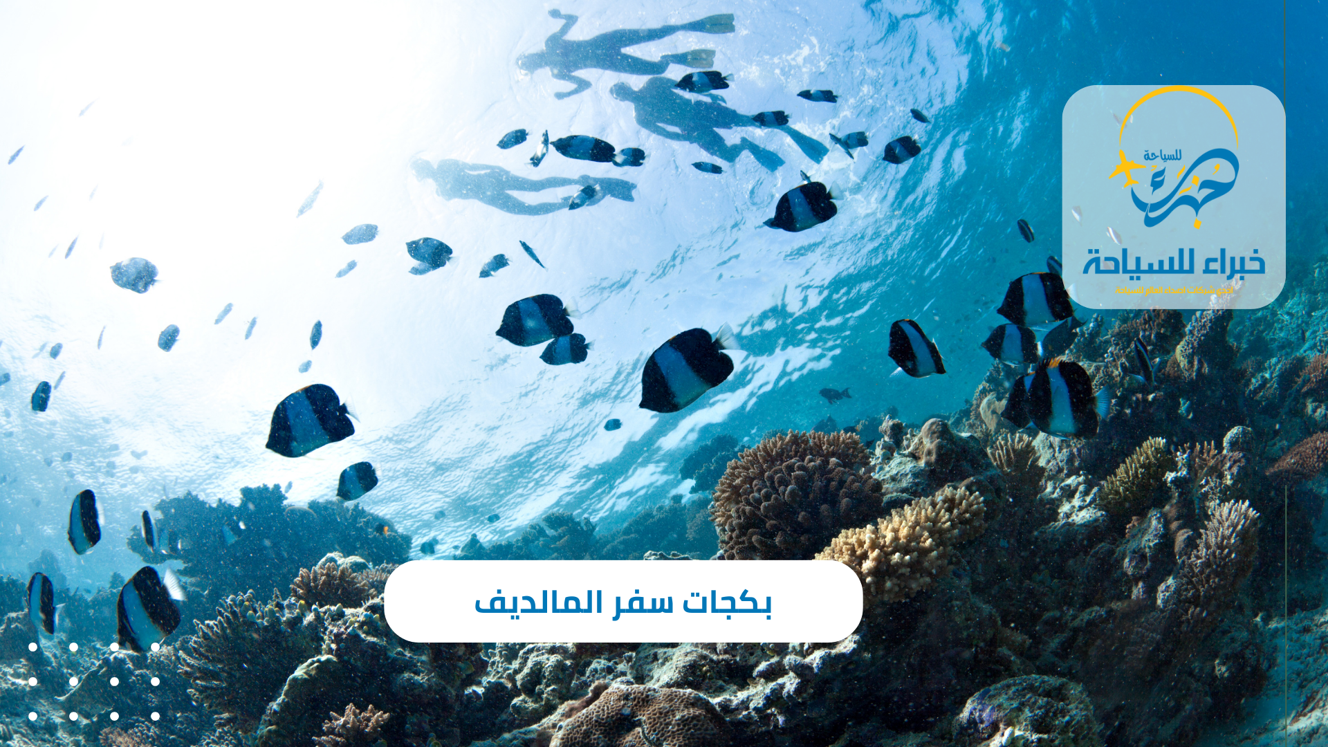 بكجات سفر المالديف للعائلات 2025 3 بكجات سفر المالديف للعائلات