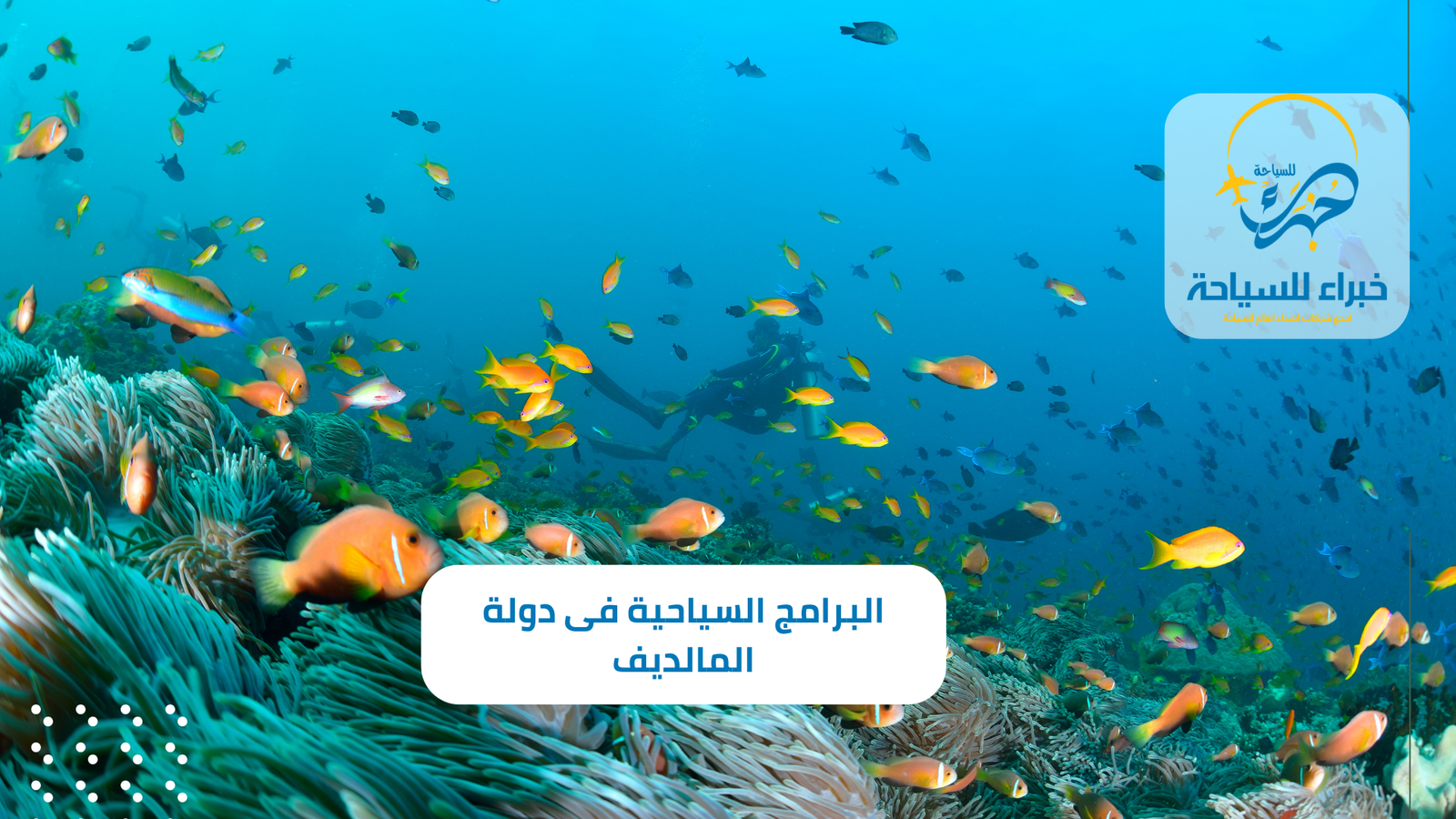 أفضل البرامج السياحية فى دولة المالديف لـ 5 أيام 3 البرامج السياحية فى دولة المالديف