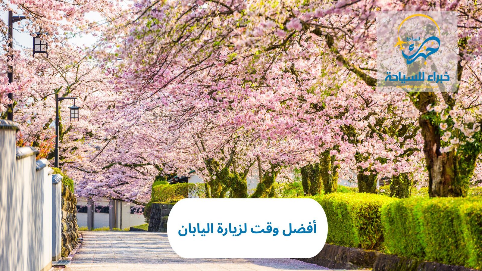 أفضل وقت لزيارة اليابان 3 أفضل وقت لزيارة اليابان