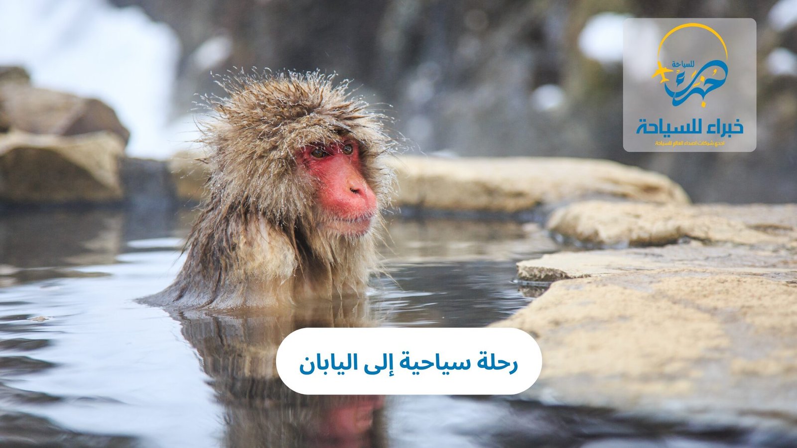 رحلة الى اليابان 