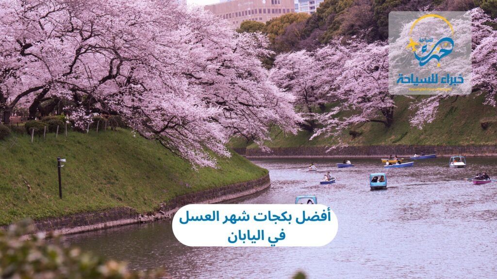 شهر العسل في اليابان