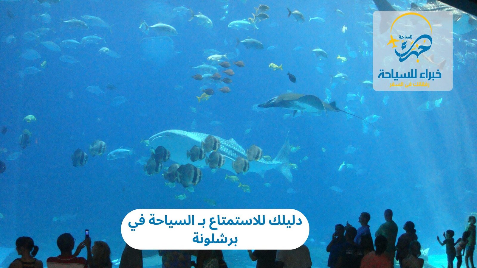 دليلك للاستمتاع بـ السياحة في برشلونة 3 السياحة في برشلونة