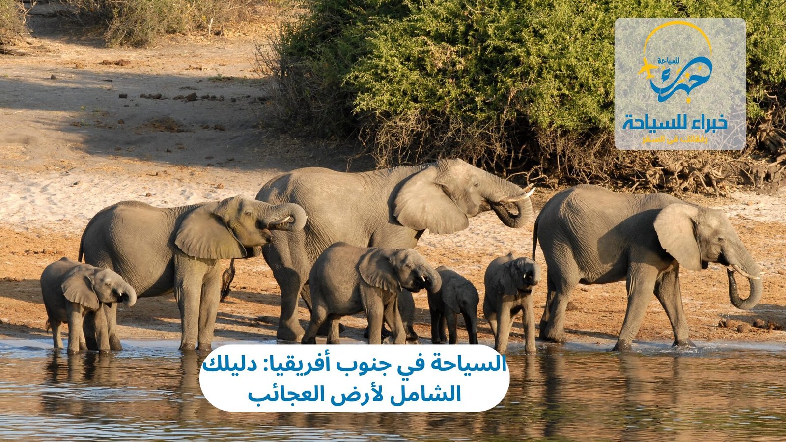 أجمل معالم السياحة في جنوب أفريقيا: دليلك الشامل لأرض العجائب 4 السياحة في جنوب أفريقيا