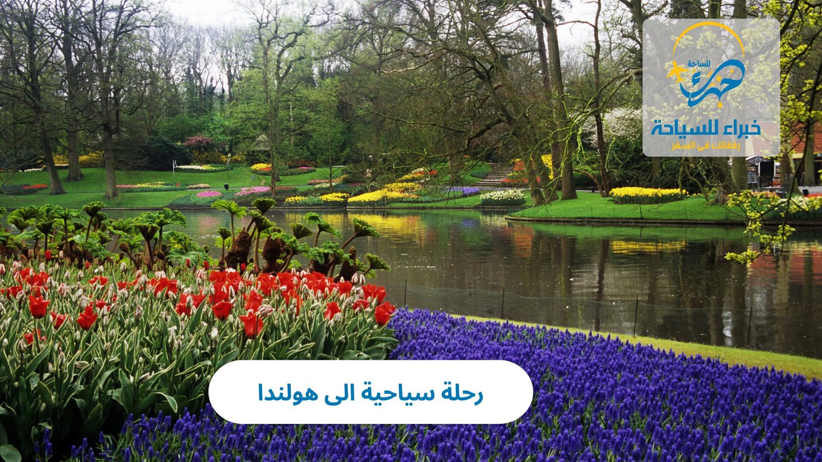 رحلة سياحية الى هولندا