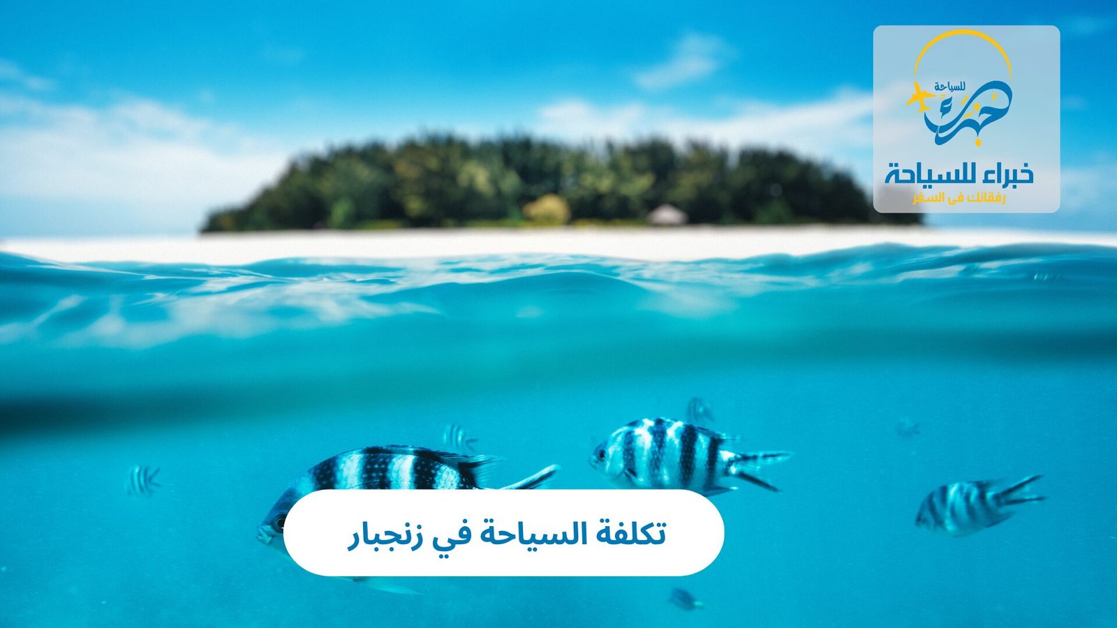 تكلفة السياحة في زنجبار 3 تكلفة السياحة في زنجبار