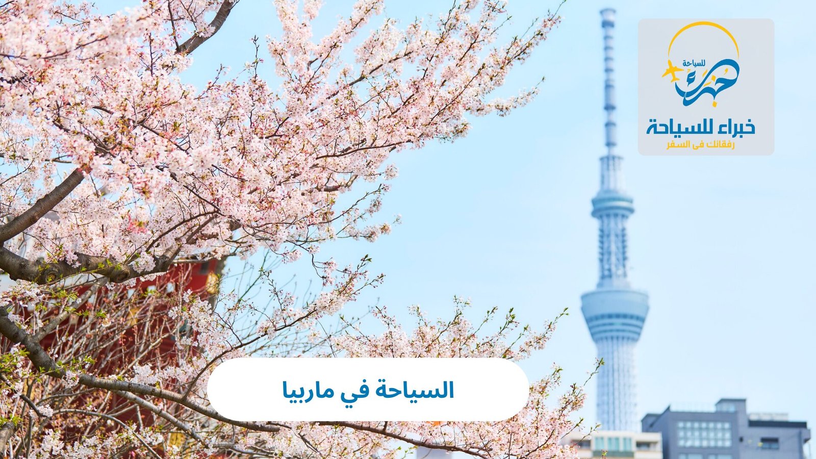 السياحة في ماربيا 3 السياحة في ماربيا