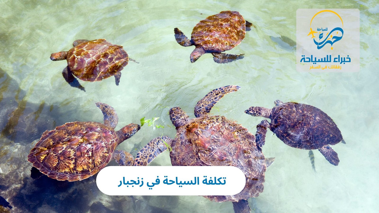 تكلفة السياحة في زنجبار 4 تكلفة السياحة في زنجبار