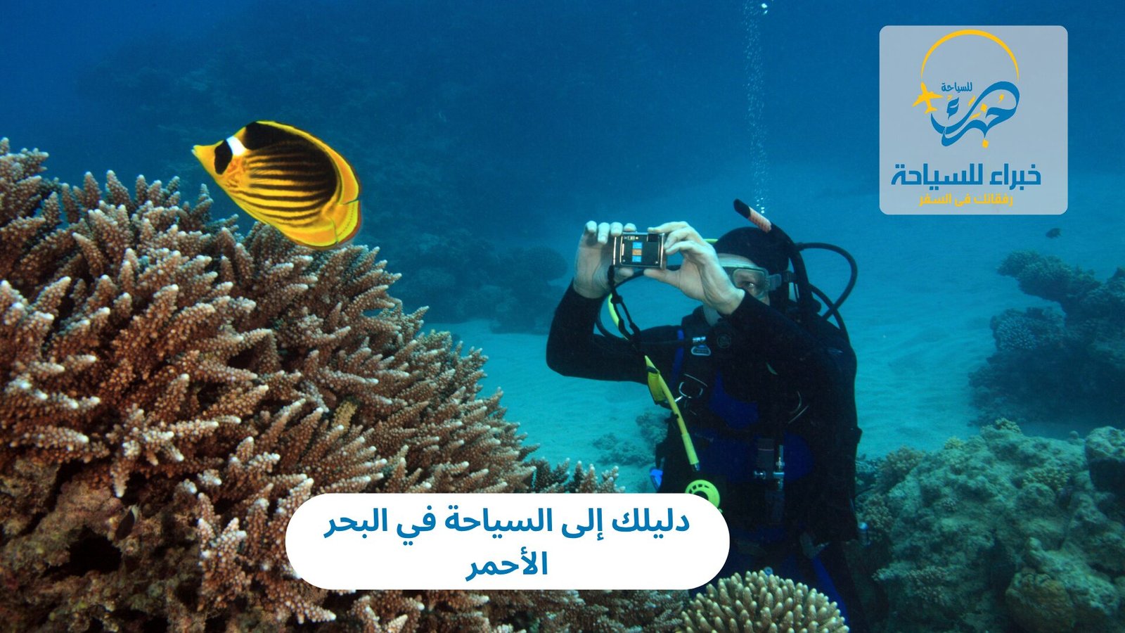 دليلك إلى السياحة في البحر الأحمر 5 السياحة في البحر الأحمر