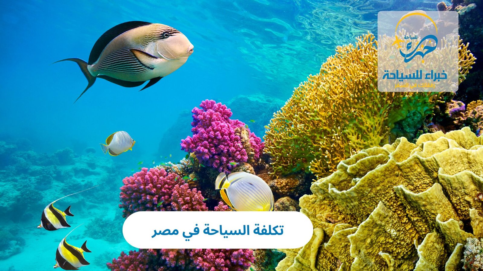 تكلفة السياحة في مصر 4 تكلفة السياحة في مصر