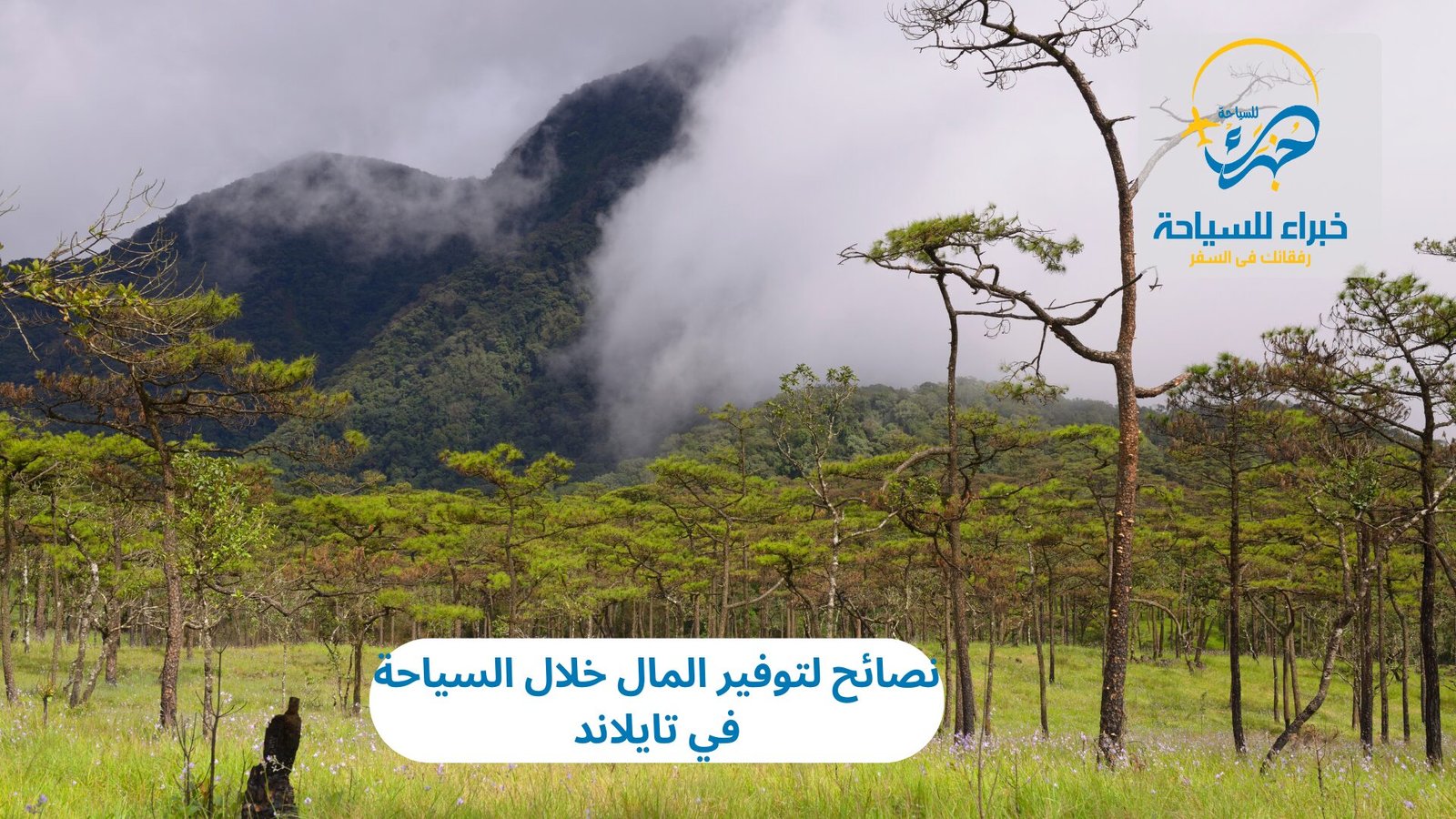 نصائح لتوفير المال خلال السياحة في تايلاند 4 توفير المال خلال السياحة في تايلاند