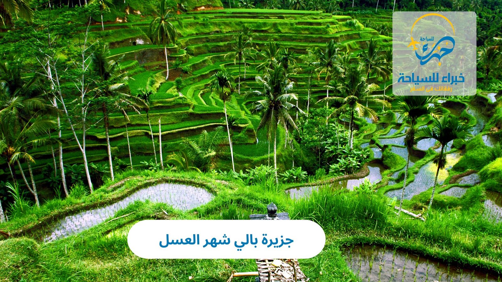 جزيرة بالي شهر العسل 3 جزيرة بالي شهر العسل