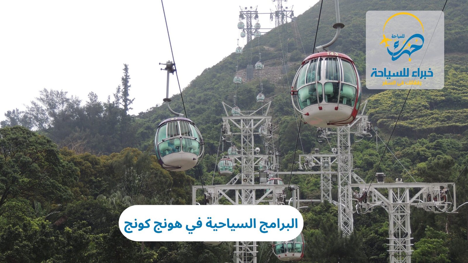 البرامج السياحية في هونج كونج 2025 4 البرامج السياحية في هونج كونج