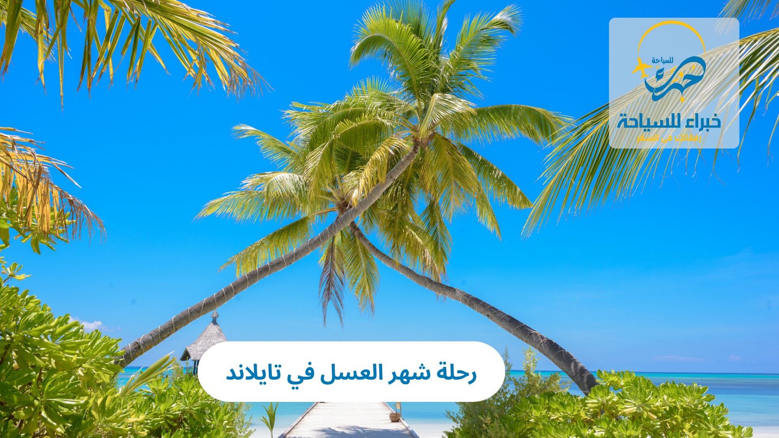 رحلة شهر العسل في تايلاند 3 رحلة شهر العسل في تايلاند