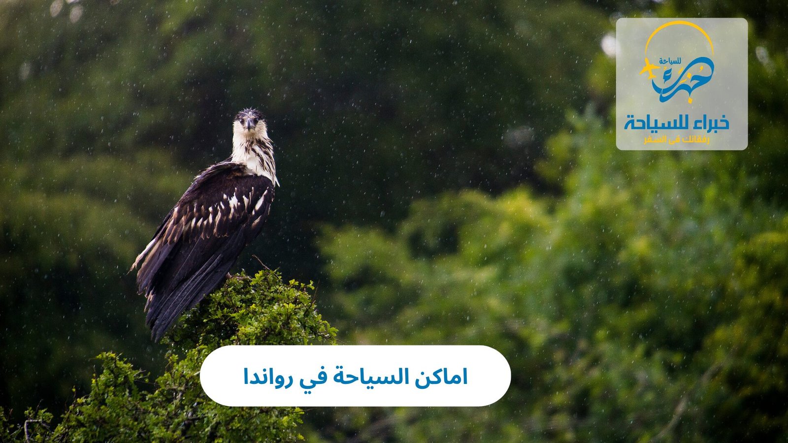 اماكن السياحة في رواندا 3 اماكن السياحة في رواندا