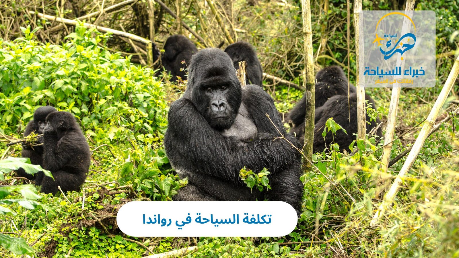 تكلفة السياحة في رواندا