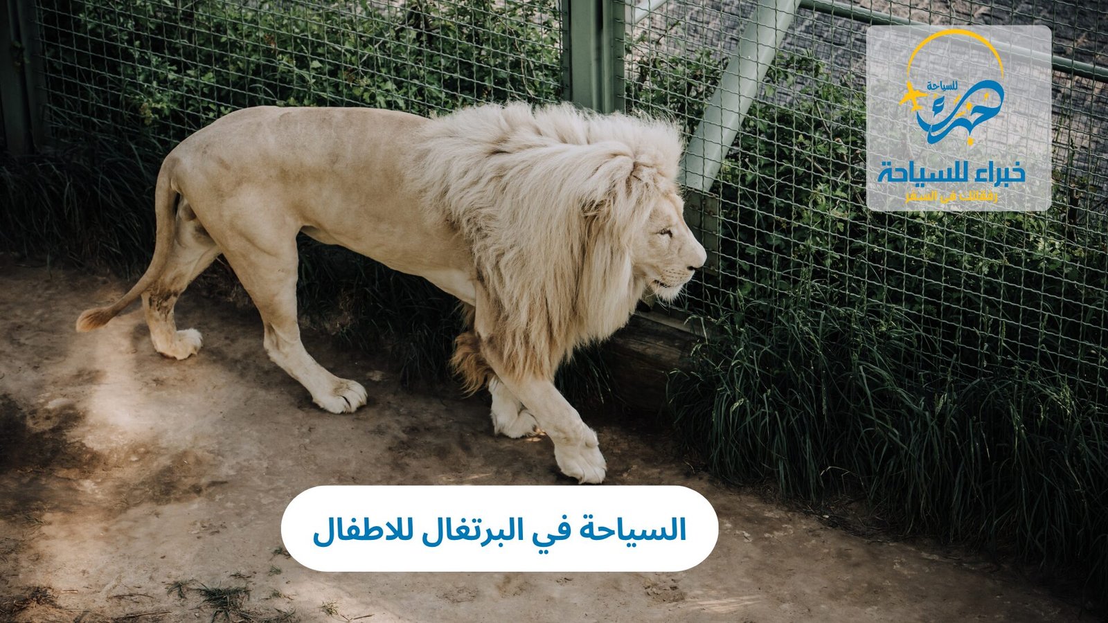 السياحة في البرتغال للاطفال