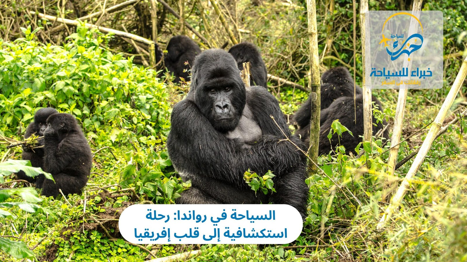 السياحة في رواندا