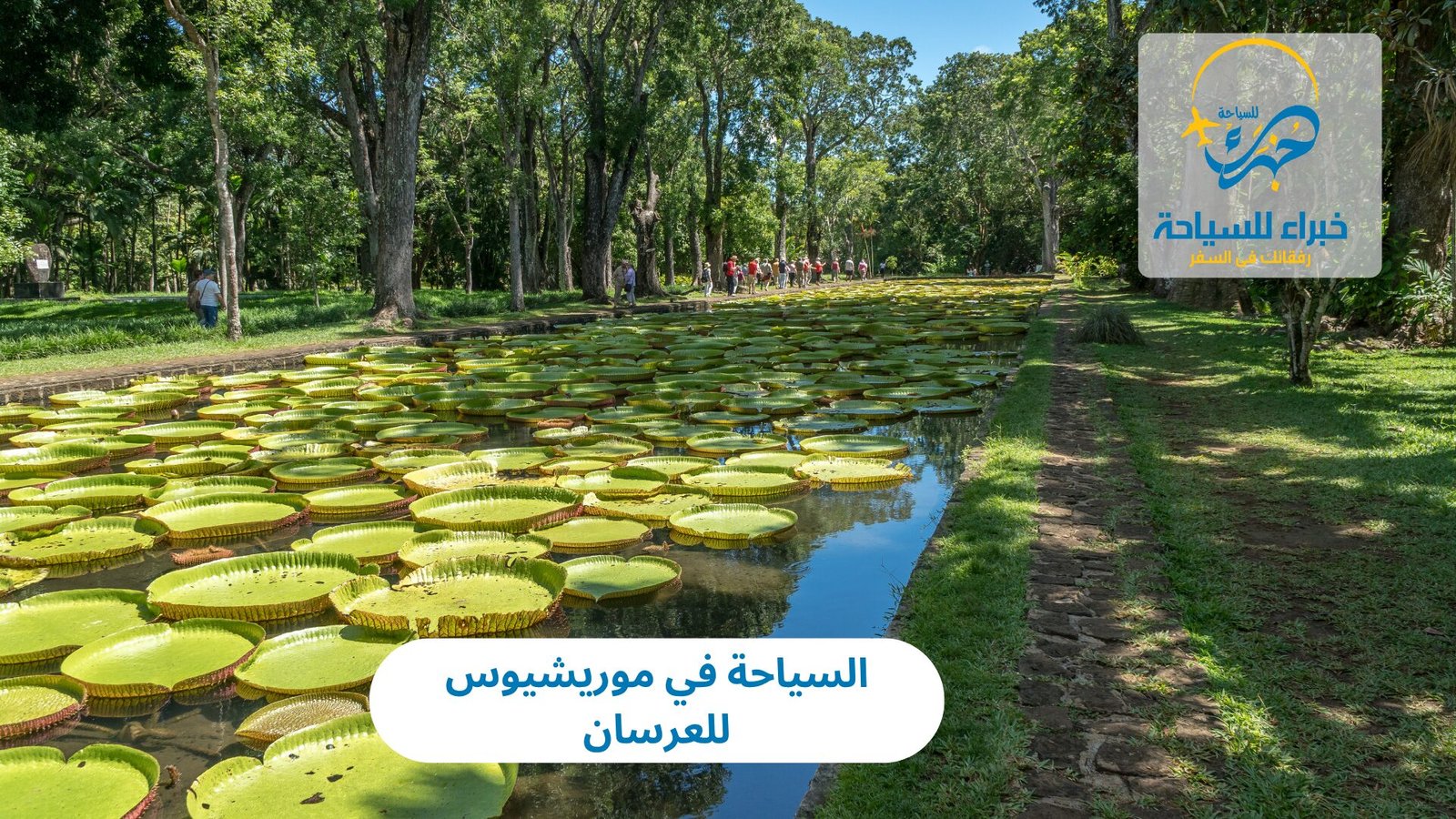 السياحة في موريشيوس للعرسان