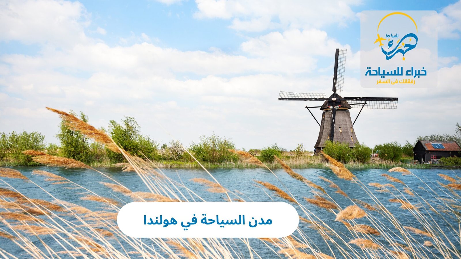 مدن السياحة في هولندا: رحلة بين الجمال الأوروبي والتاريخ العريق 4 مدن السياحة في هولندا