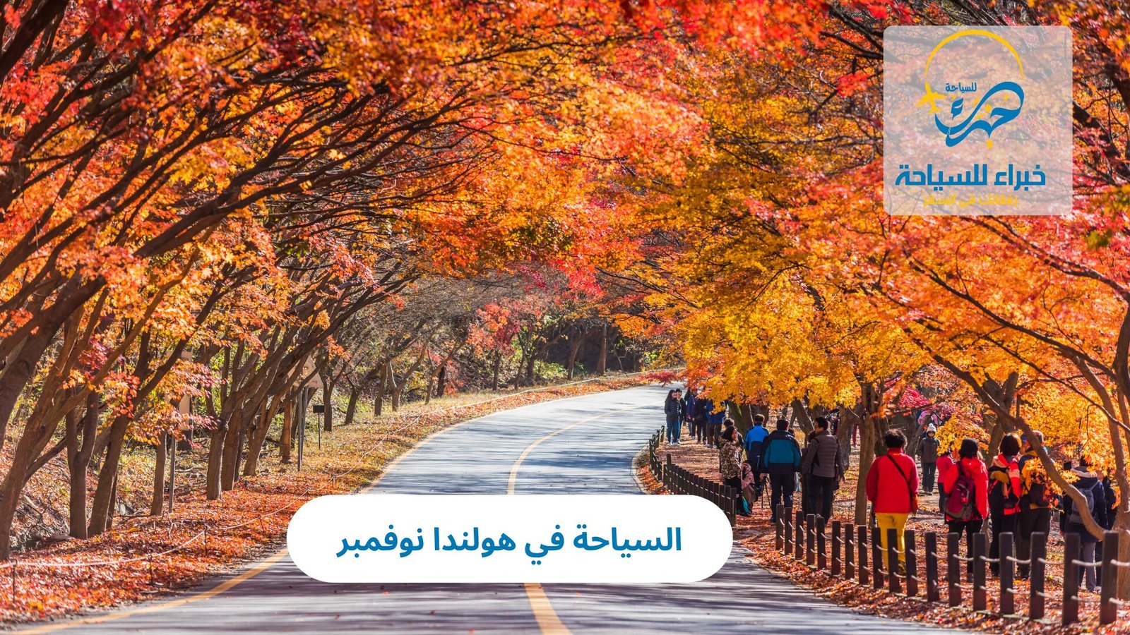 السياحة في هولندا نوفمبر 4 السياحة في هولندا نوفمبر