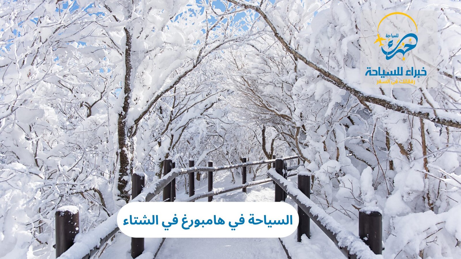 السياحة في هامبورغ في الشتاء