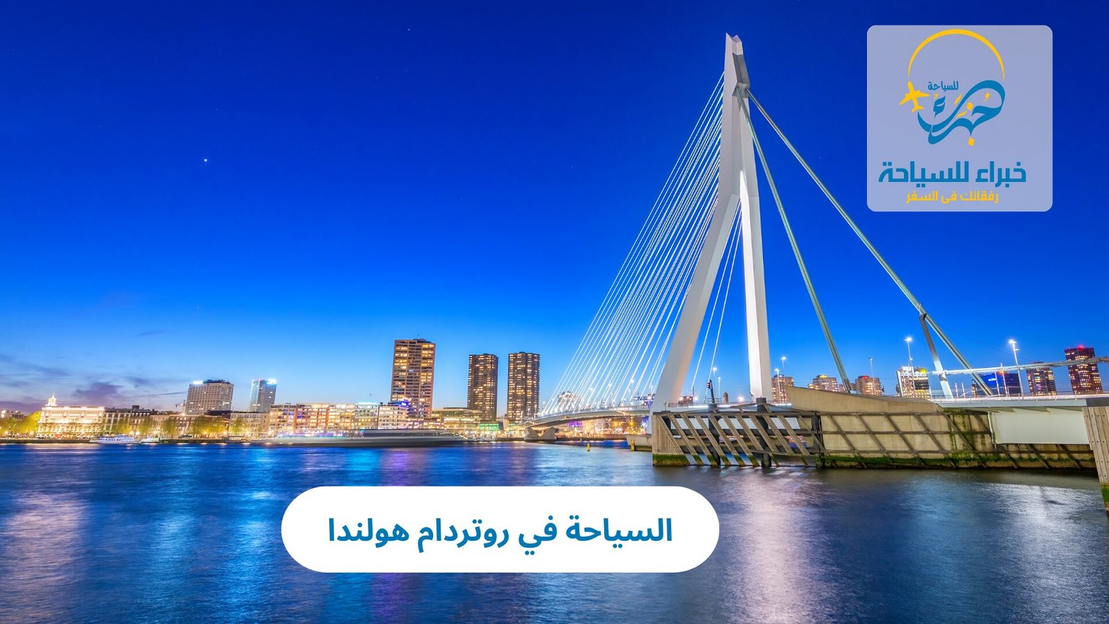 السياحة في روتردام هولندا: مدينة الحداثة والإبداع في قلب أوروبا 3 السياحة في روتردام