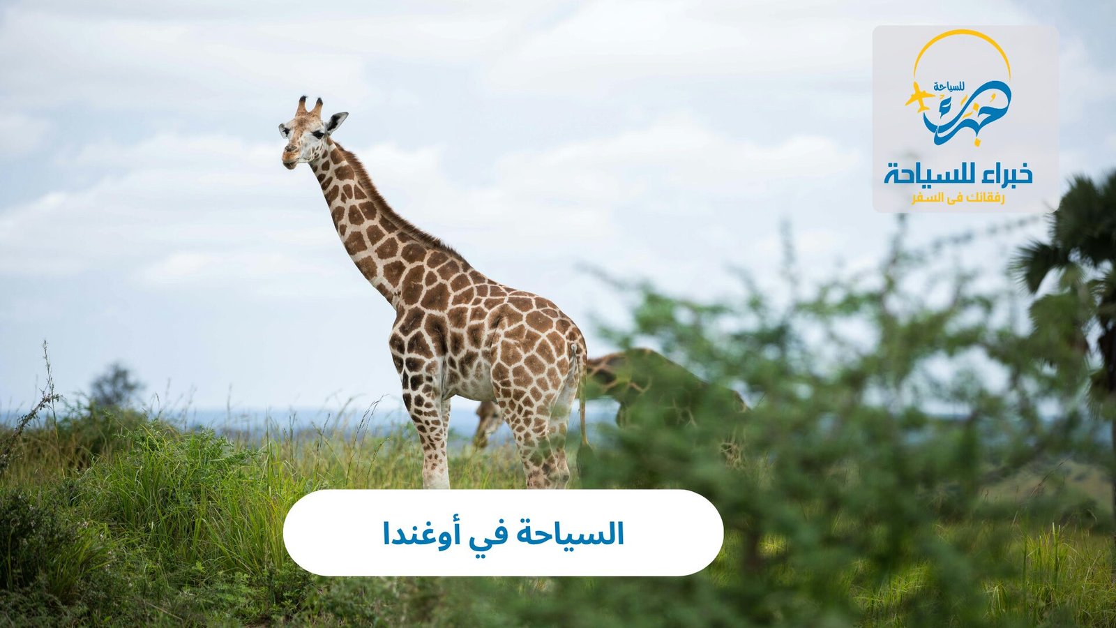 السياحة في أوغندا 4 السياحة في أوغندا