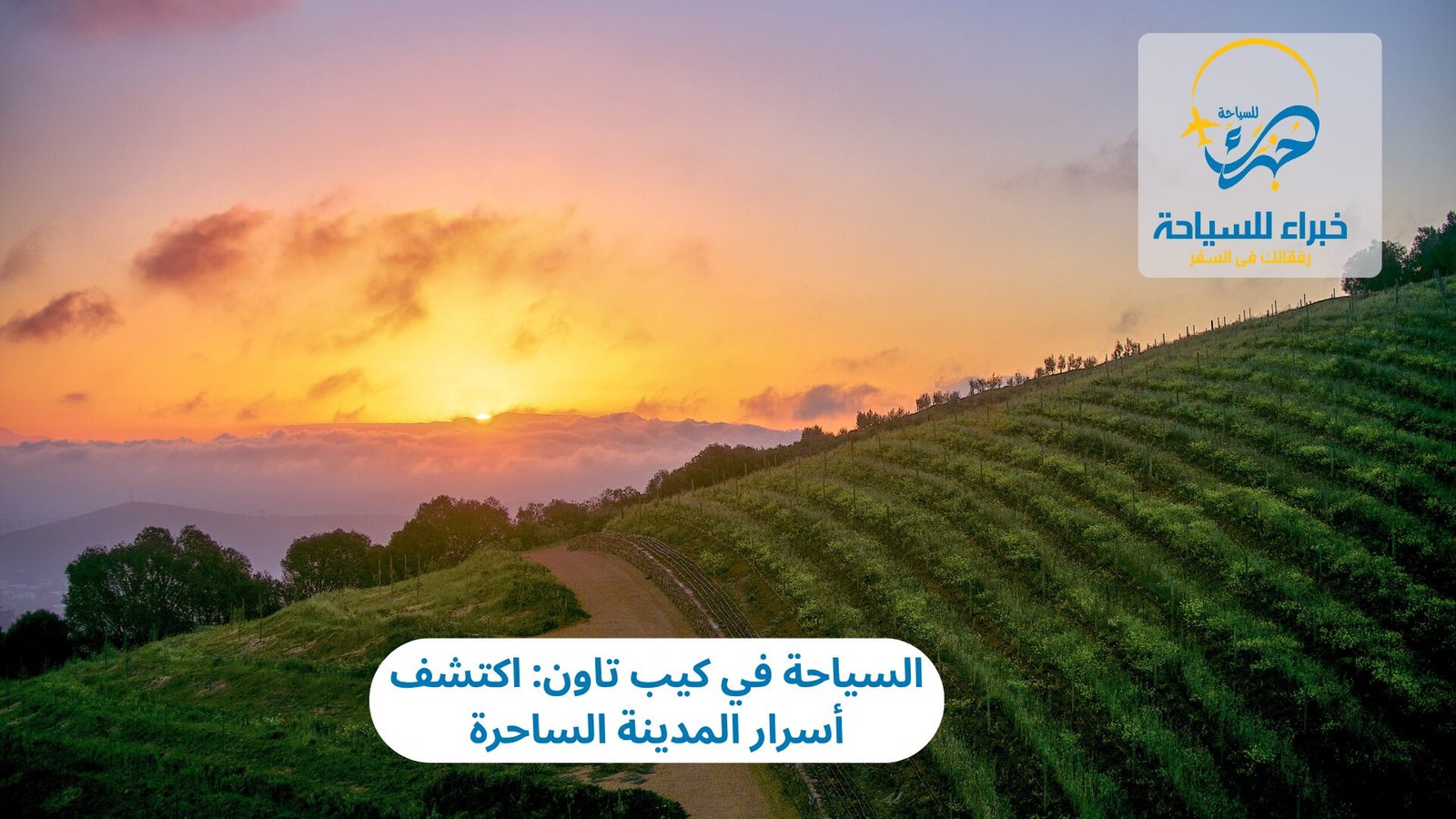 السياحة في كيب تاون: اكتشف أسرار المدينة الساحرة 5 السياحة في كيب تاون