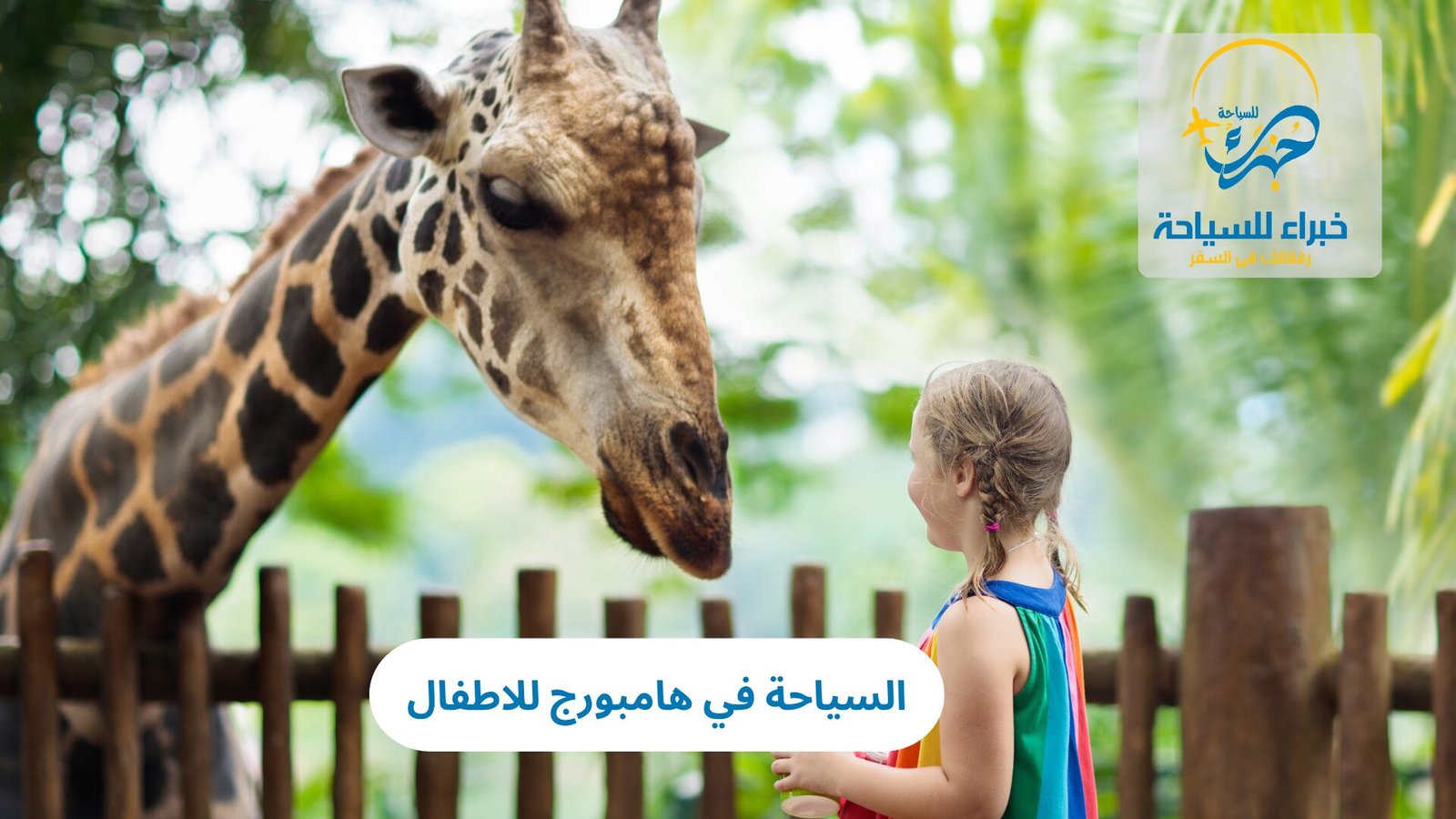 السياحة في هامبورغ للاطفال: أفضل الأماكن الترفيهية والتجارب العائلية الممتعة 3 السياحة في هامبورغ للاطفال