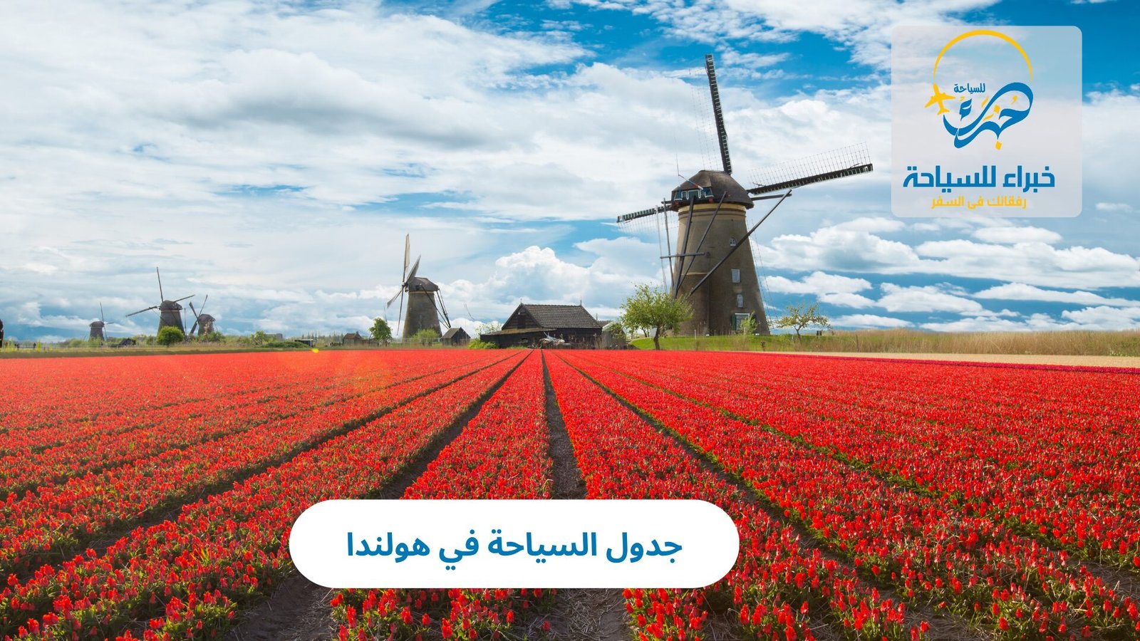 الرئيسية 24 جدول السياحة في هولندا: دليلك الشامل لرحلة متكاملة بين المدن الهولندية