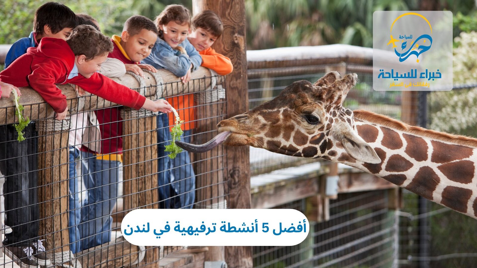 أنشطة ترفيهية في لندن