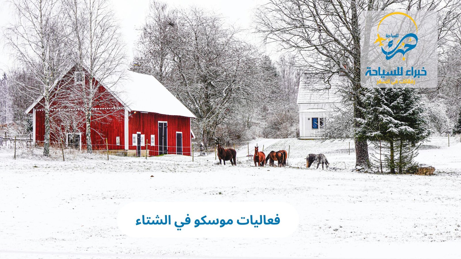 فعاليات موسكو في الشتاء