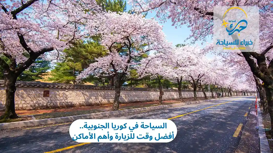 السياحة في كوريا الجنوبية.. أفضل وقت للزيارة وأهم الأماكن 4 السياحة في كوريا الجنوبية.. أفضل وقت للزيارة وأهم الأماكن