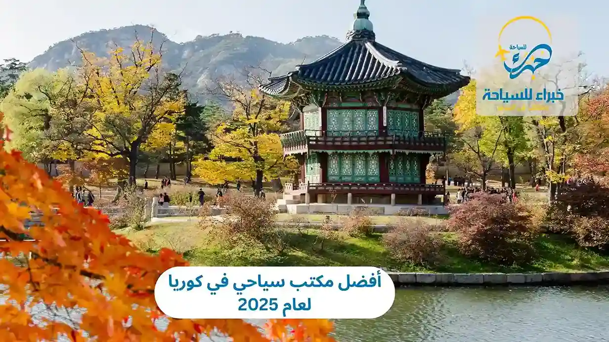 أفضل مكتب سياحي في كوريا لعام 2025