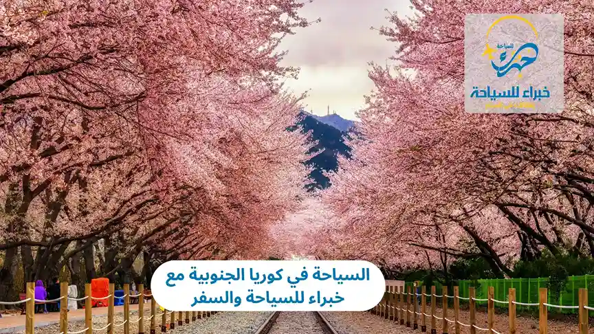 السياحة في كوريا الجنوبية مع خبراء للسياحة والسفر