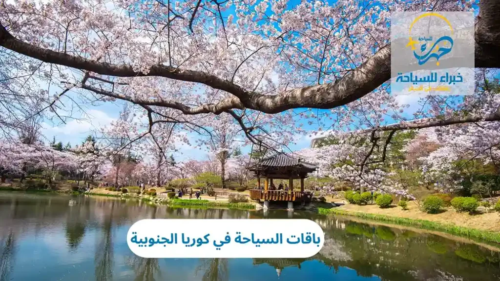 باقات السياحة في كوريا الجنوبية