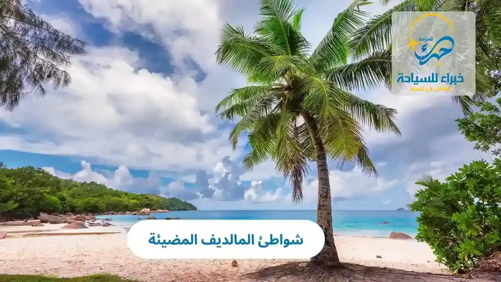 شواطئ المالديف المضيئة