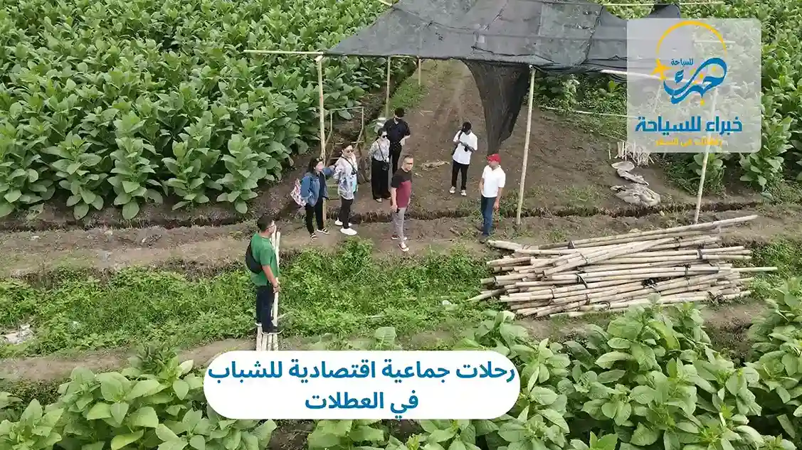 رحلات جماعية اقتصادية للشباب 