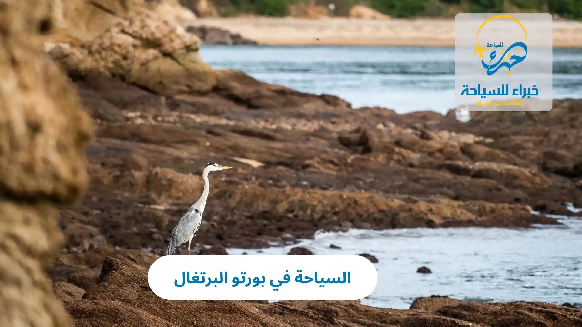 السياحة في بورتو البرتغال 4 السياحة في بورتو البرتغال