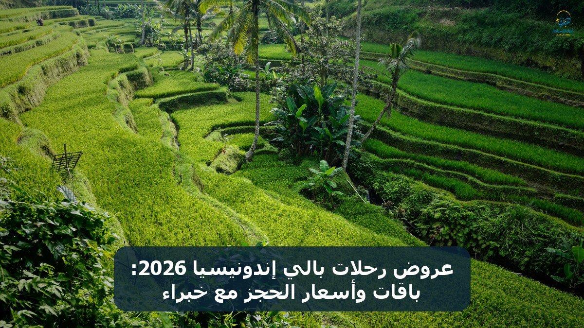 الرئيسية 17 عروض رحلات بالي إندونيسيا 2026: باقات وأسعار الحجز مع خبراء