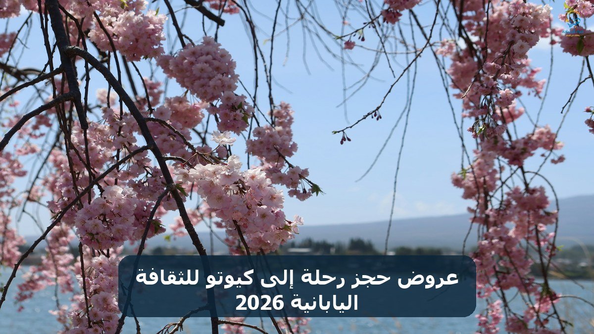 عروض حجز رحلة إلى كيوتو للثقافة اليابانية 2026
